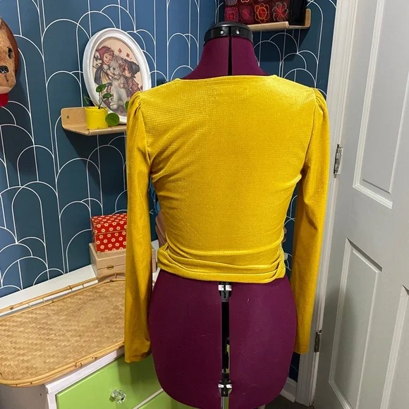 Gold Velvet Deep V Long Sleeve Top Size Medium - Picture 5 of 8